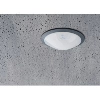 o39504v3_theRonda_theMova_DE_nnPI